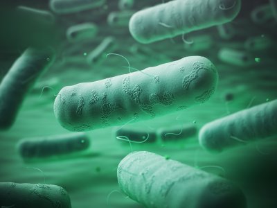 Какие бактерии и микроорганизмы обитают на коже и теле человека?
